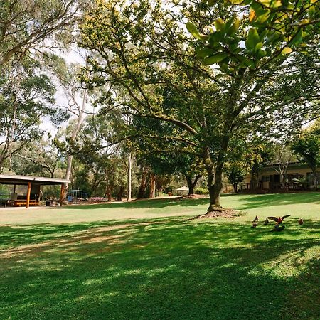 פורפנקה Alpine Riverside Cottages מראה חיצוני תמונה