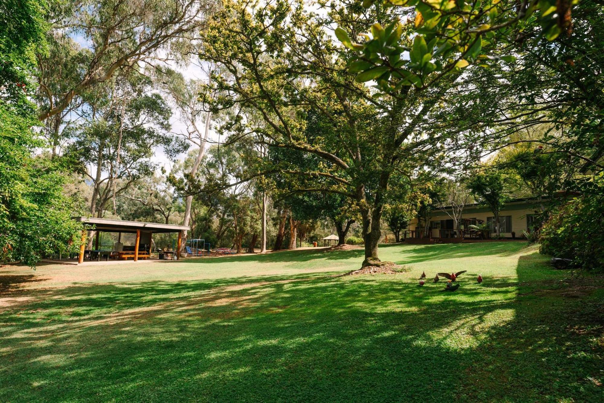 פורפנקה Alpine Riverside Cottages מראה חיצוני תמונה